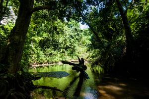 Geotrail Keanekaragaman Hayati