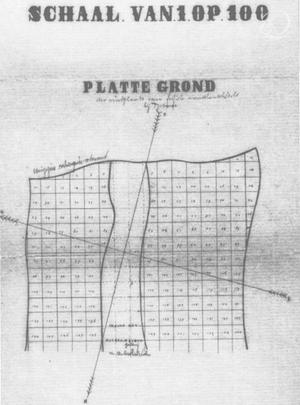 THE EVOLUTIONARY SIGNIFICANCE OF THE WAJAK SKULLS