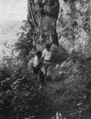 REDISCOVERY OF THE WADJAK SITE