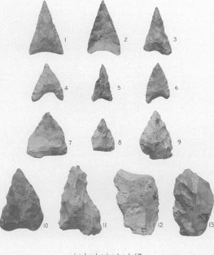 ERDBRINK - MESOLITHIC REMAINS SAMPUNG