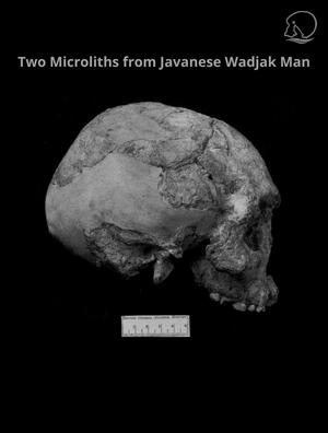TWO MICROLITHS FROM JAVANESE WADJAK MAN
